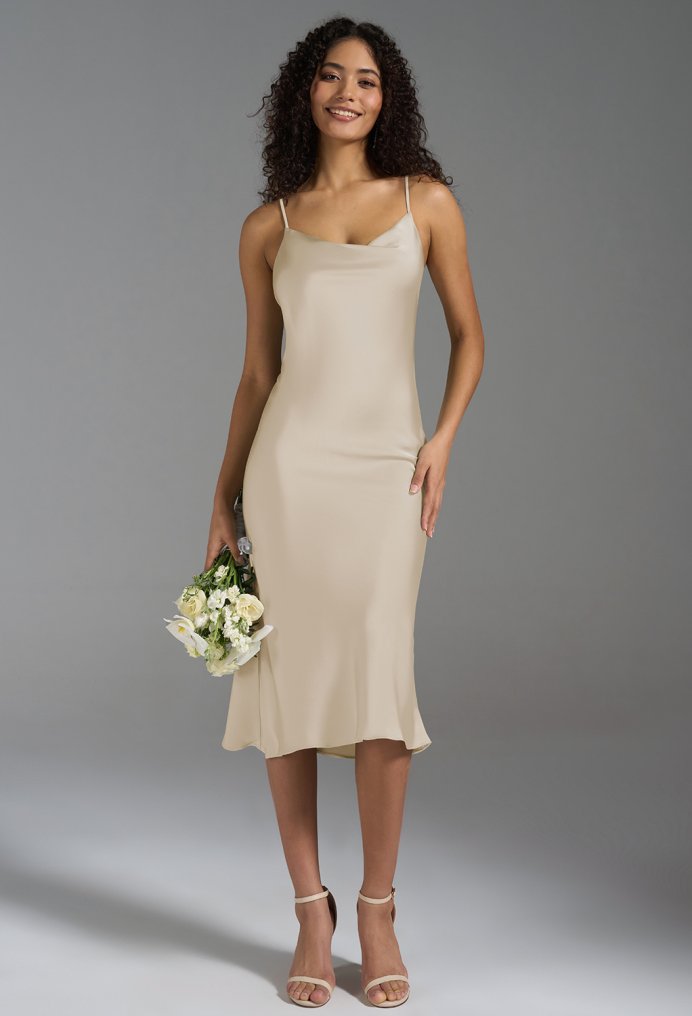 AW Alanna Dress